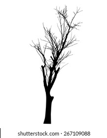 vector black silhouette of a bare tree