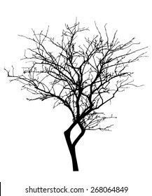 vector black silhouette of a bare tree