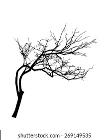 vector black silhouette of a bare tree