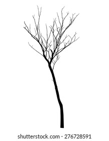 vector black silhouette of a bare tree