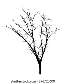 vector black silhouette of a bare tree