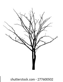 vector black silhouette of a bare tree