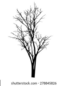 vector black silhouette of a bare tree