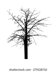 vector black silhouette of a bare tree