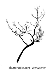 vector black silhouette of a bare tree
