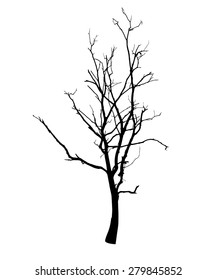 vector black silhouette of a bare tree