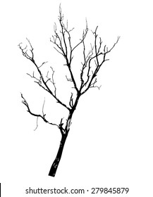 vector black silhouette of a bare tree