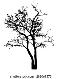 vector black silhouette of a bare tree