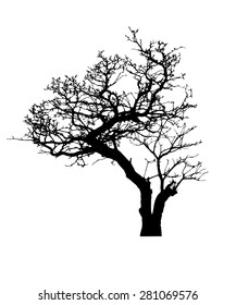 vector black silhouette of a bare tree