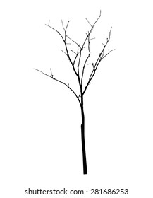 vector black silhouette of a bare tree