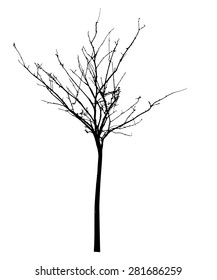 vector black silhouette of a bare tree