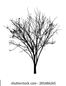 vector black silhouette of a bare tree