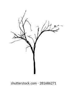 vector black silhouette of a bare tree