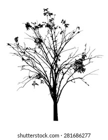 vector black silhouette of a bare tree