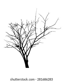 vector black silhouette of a bare tree