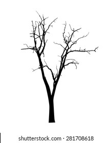 vector black silhouette of a bare tree