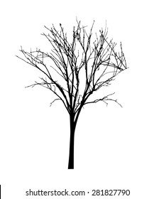 vector black silhouette of a bare tree