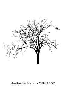 vector black silhouette of a bare tree