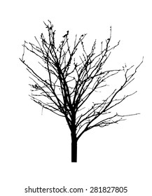 vector black silhouette of a bare tree