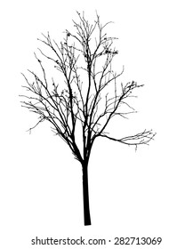 vector black silhouette of a bare tree