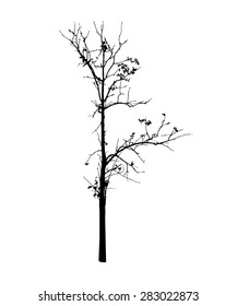 vector black silhouette of a bare tree