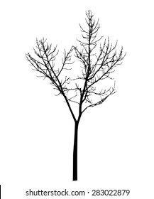 vector black silhouette of a bare tree