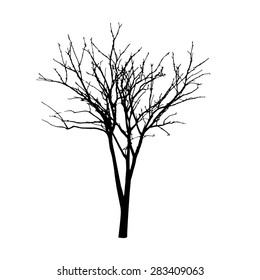 vector black silhouette of a bare tree