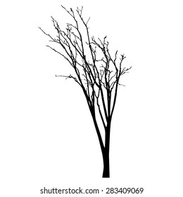 vector black silhouette of a bare tree