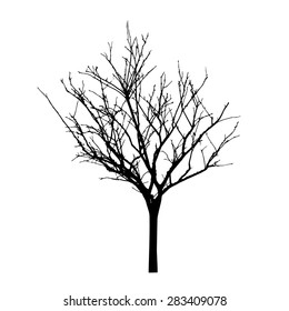 vector black silhouette of a bare tree