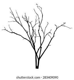 vector black silhouette of a bare tree