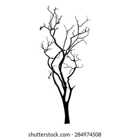 Tree Branches Drawing Images Stock Photos Vectors Shutterstock