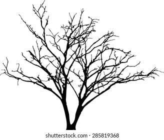 vector black silhouette of a bare tree
