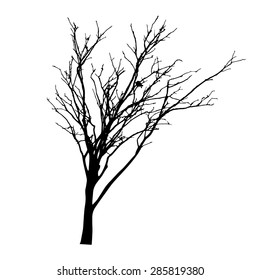 Vector Black Silhouette Bare Tree Stock Vector (Royalty Free) 285819380 ...