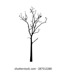 vector black silhouette of a bare tree