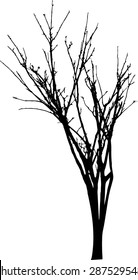 vector black silhouette of a bare tree