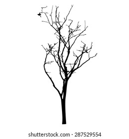 vector black silhouette of a bare tree