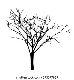vector black silhouette of a bare tree