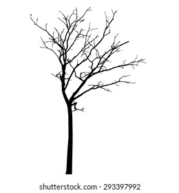 vector black silhouette of a bare tree