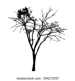 vector black silhouette of a bare tree