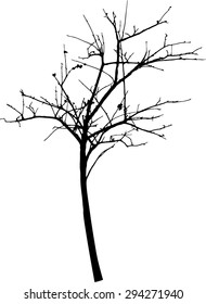 vector black silhouette of a bare tree