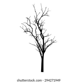vector black silhouette of a bare tree