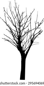 vector black silhouette of a bare tree