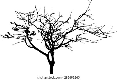 vector black silhouette of a bare tree