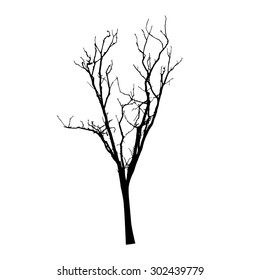 vector black silhouette of a bare tree