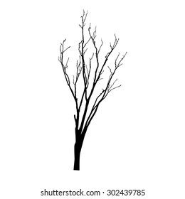 vector black silhouette of a bare tree