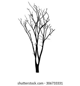 vector black silhouette of a bare tree