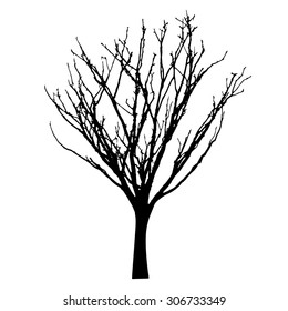 vector black silhouette of a bare tree