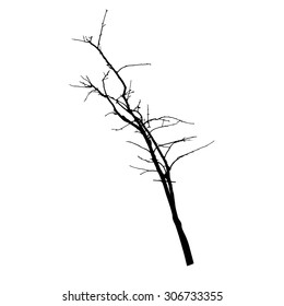 vector black silhouette of a bare tree