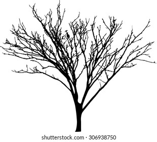 vector black silhouette of a bare tree