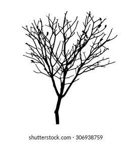 vector black silhouette of a bare tree